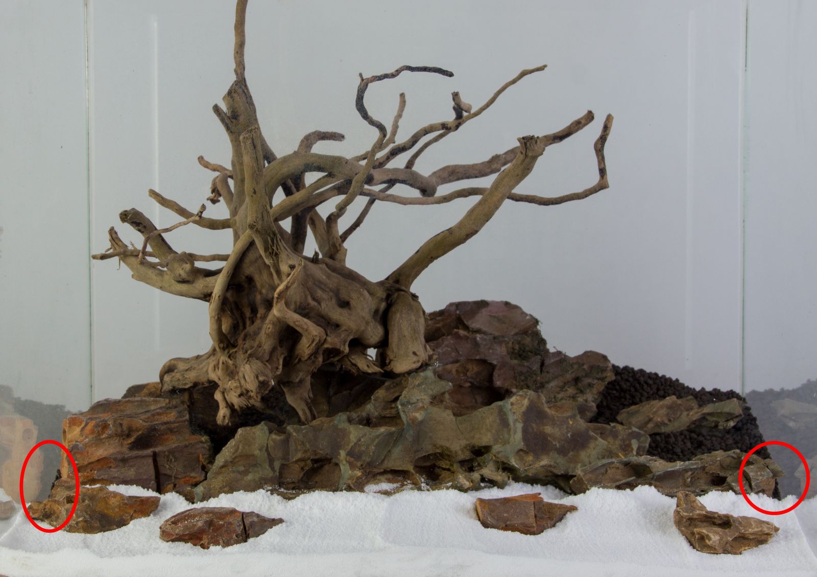 沙子与土壤之间的过渡点