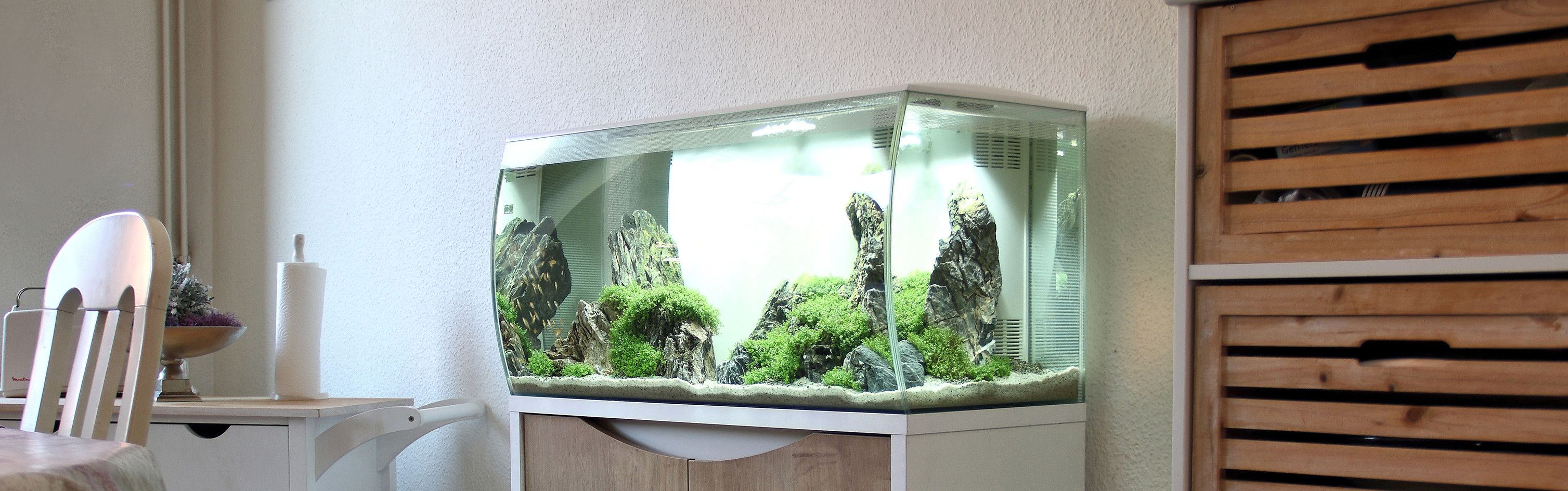 Fluval Aquarium kaufen Fluval Shop