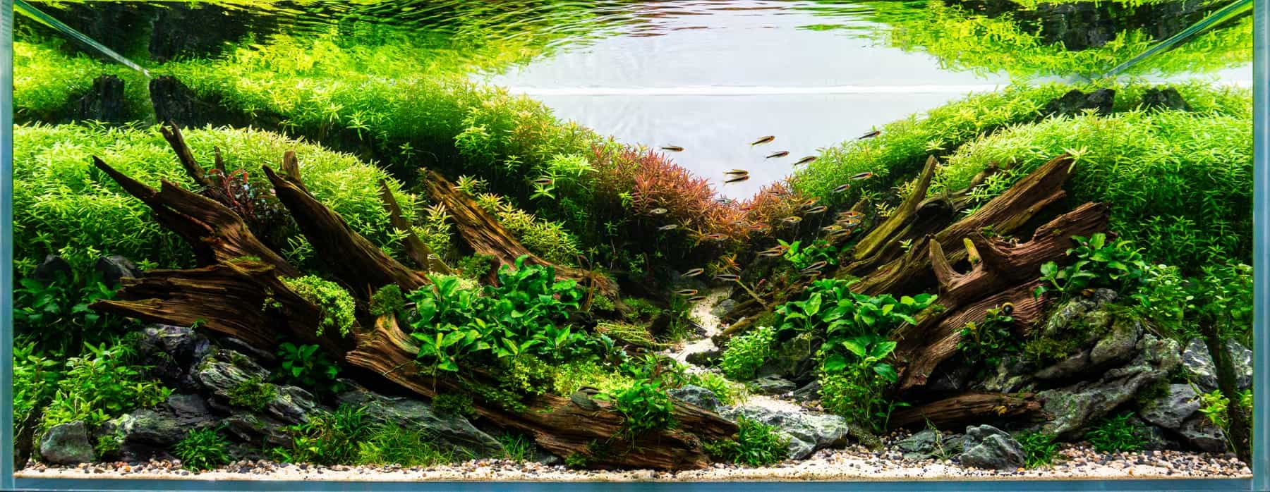 Aquascape von Karsten Dünne