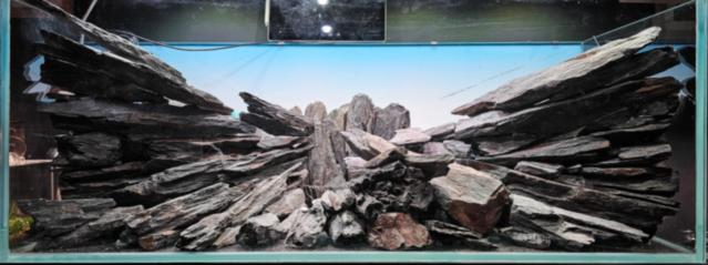 Hardscape - Fabian Beck