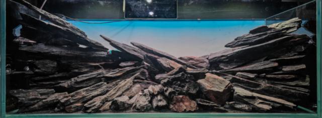 Hardscape - Fabian Beck