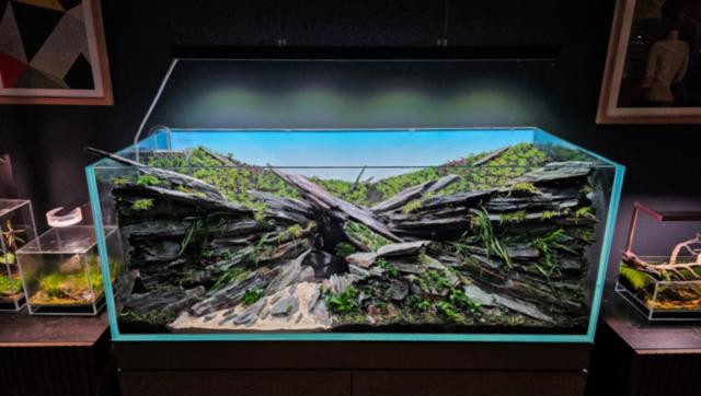 Bepflanzung von oben