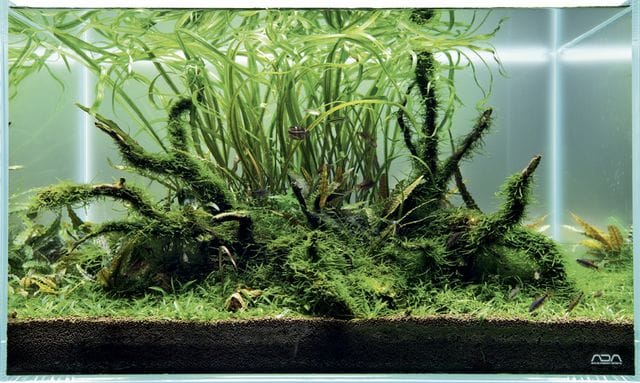 ADA LIGHT SCREEN LED-Hintergrundbeleuchtung - | Aquasabi