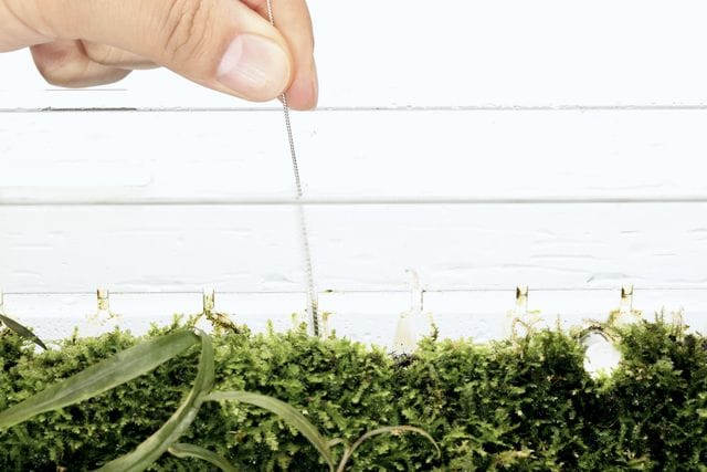 Cascade reinigen Teil 2