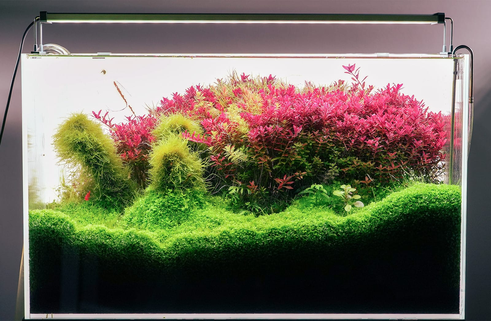Chihiros - LED System - Serie B | Aquasabi - Aquarium Shop