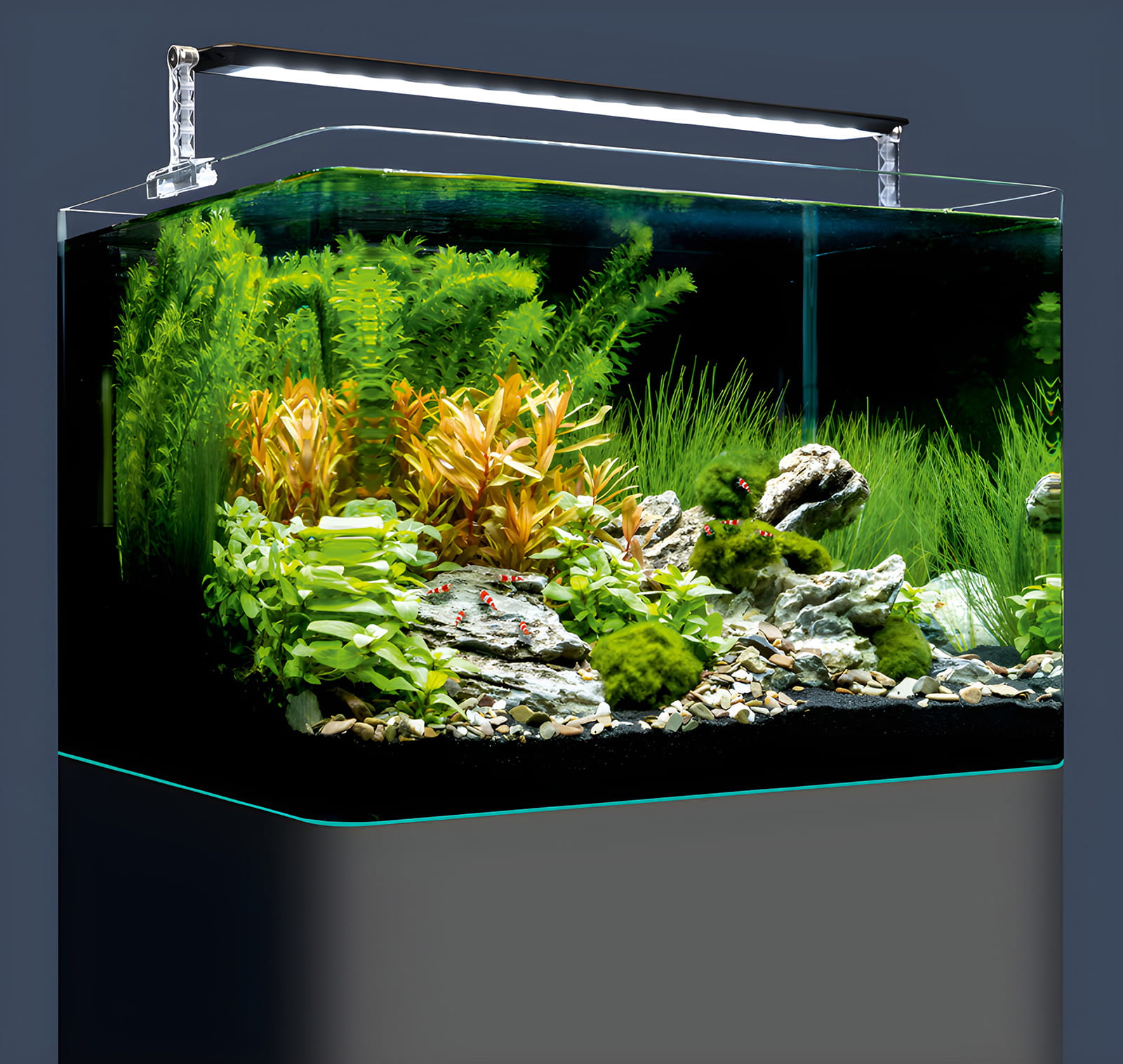 Dennerle Nano Tanks