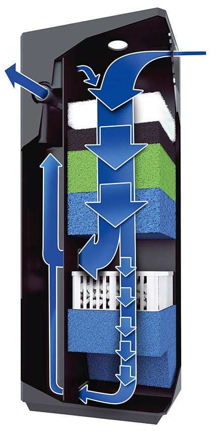 Juwel aquarium filter best sale setup