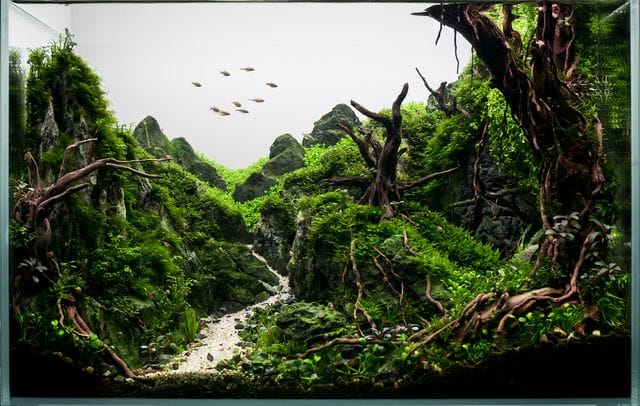 Methusalem Cliff von Philip Schwarz