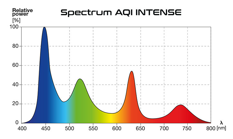 Lichtspektrum AQI Intense