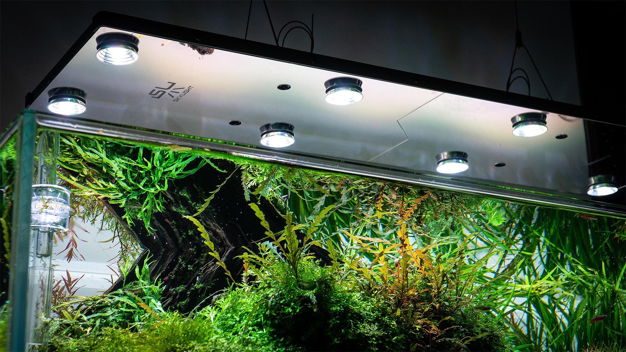 Skylight Hyperbar