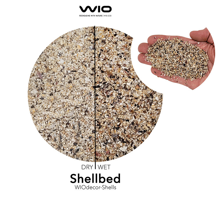 WIO Decor Shellbed Dry & Wet
