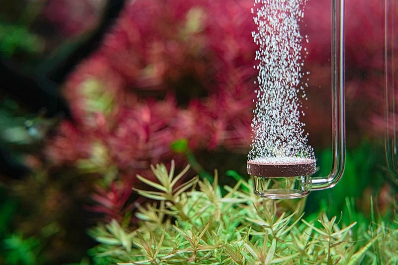 水族馆Neo扩散器