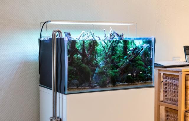 Tageslichteinfall im Aquarium Aquascaping Wiki | Aquasabi Aquarium LED befestigen Aquascaping Wiki | Aquasabi