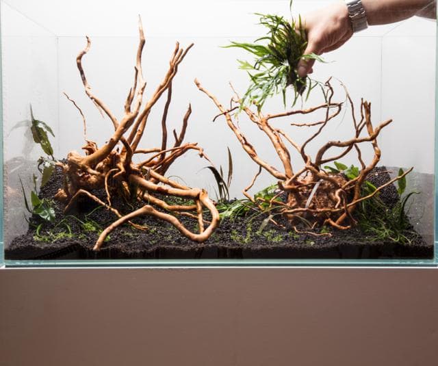 Aufsitzer platzieren