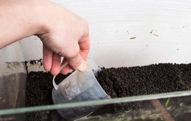 Bodengrund entfernen