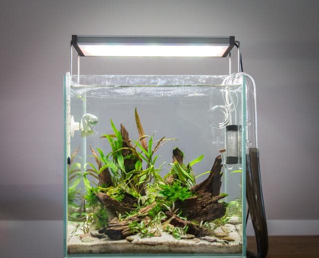 Aquarium mit Beleuchtung