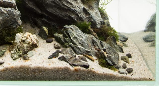 Details in einer Sandzone