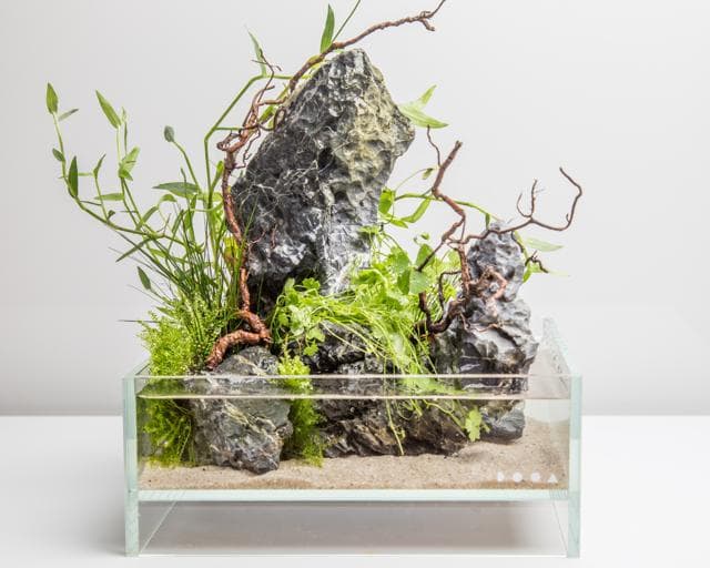 Neo Glass Air Step 11