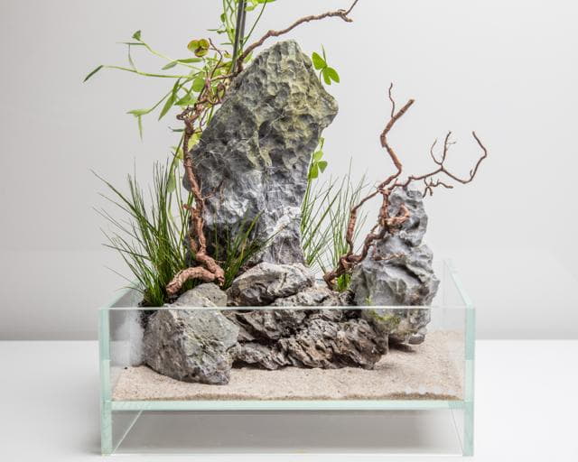 Neo Glass Air Step 8