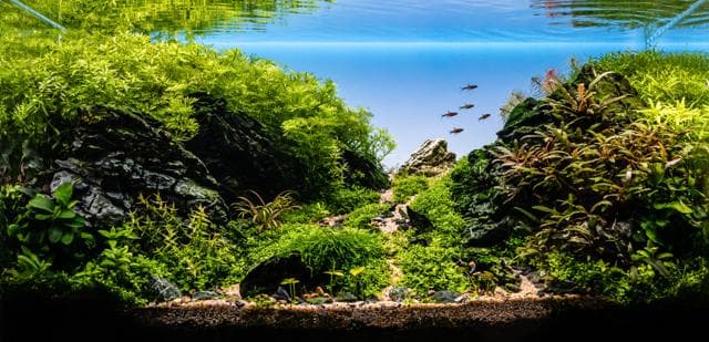 Fabian Beck - EAPLC Layout