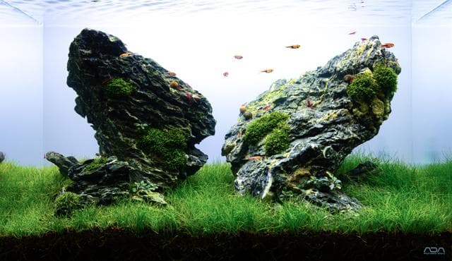 Fabian Beck - Iwagumi