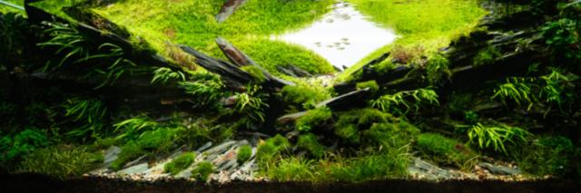 Final Shot Fabian Beck