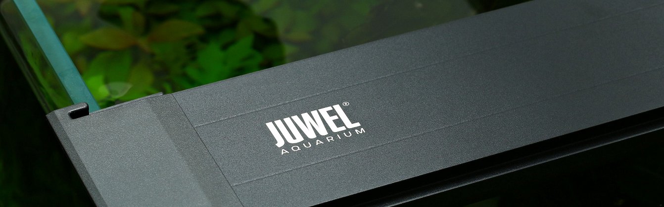 Juwel