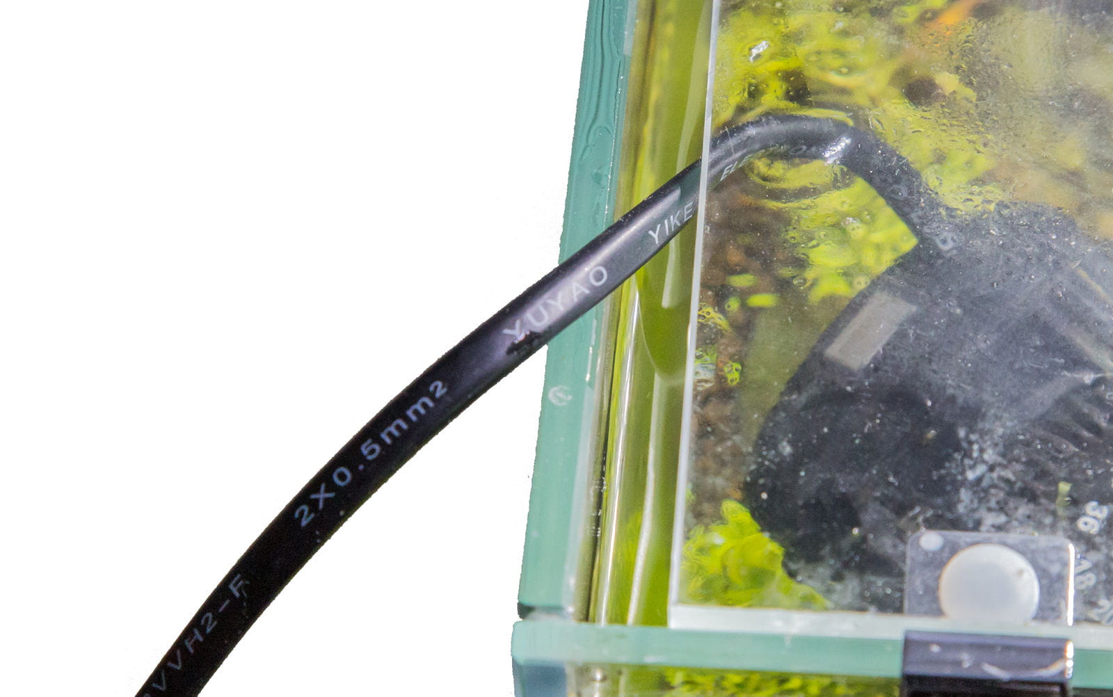 AquariumFilter brummt? Aquasabi Aquasabi Aquaristik Shop