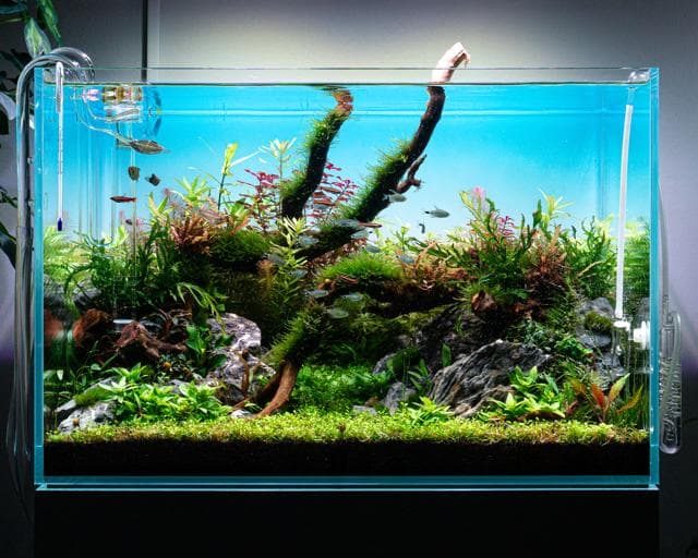 Aquascape von Karsten Duenne