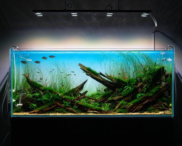 Aquascape von Karsten Duenne