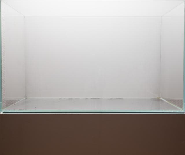Leeres Aquarium