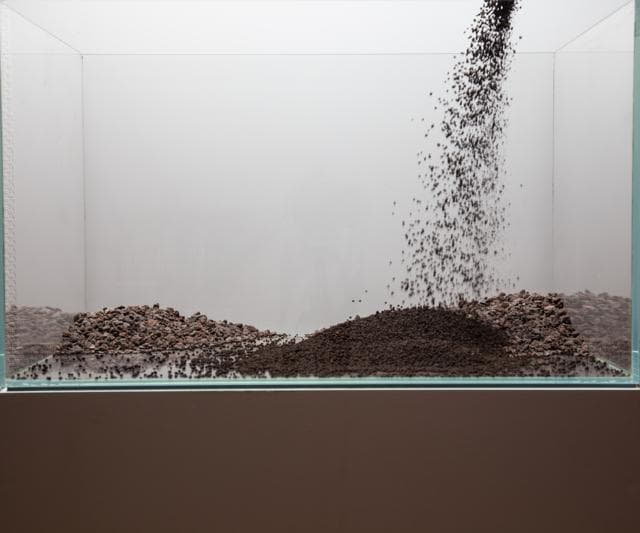 Plant Soil einbringen