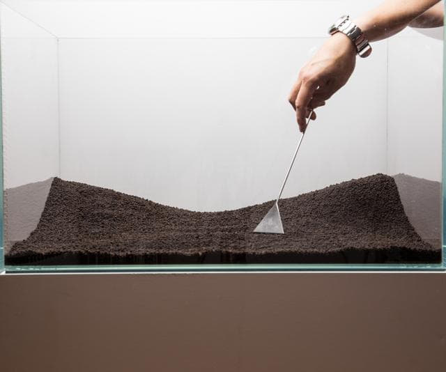 Plant Soil verteilen