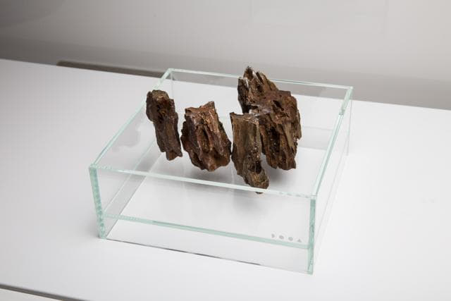 Neo Glass Air Step 3