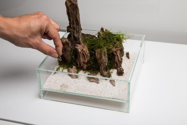 Neo Glass Air Step 7