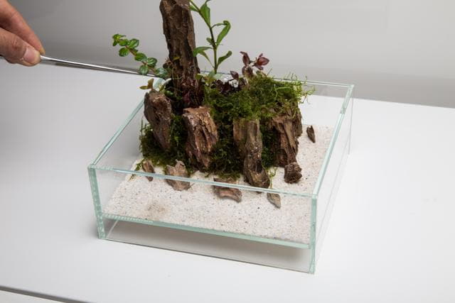 Neo Glass Air Step 8