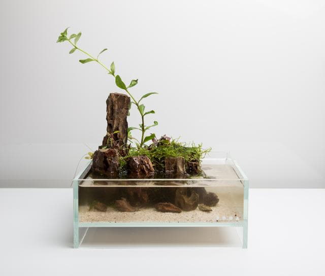 Neo Glass Air Step 9