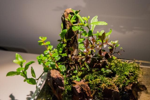 Update Neo Glass Air 1