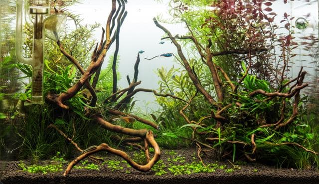 Vor dem Rüchschnitt