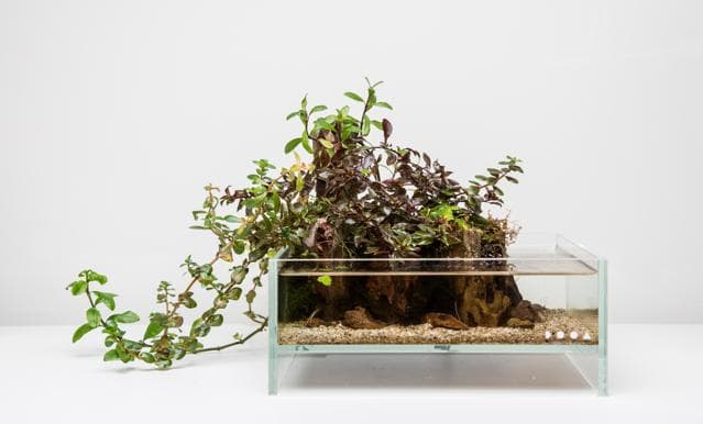 Update Neo Glass Air final