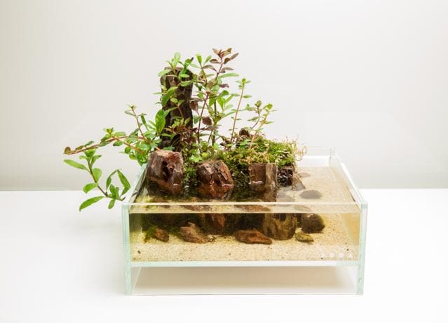 Update Neo Glass Air frontal