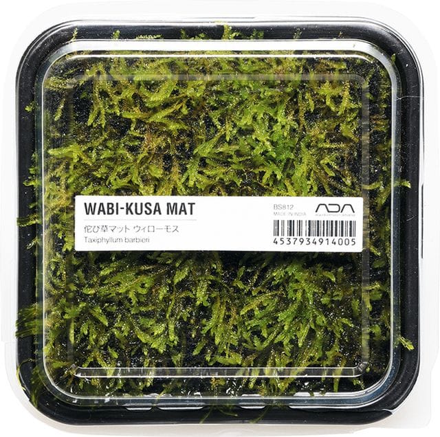 Wabi-Kusa Mat