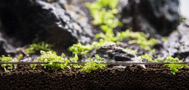 Wasserstand beim Drystart