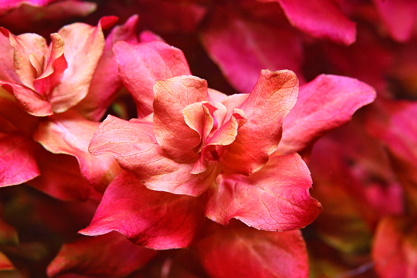 Coole Farben