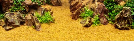 Substrate