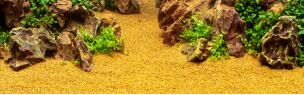 Substrate