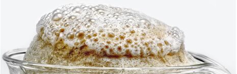 NEO Bio CO<sub>2</sub>