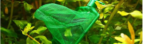 Reinigung und Zubehör