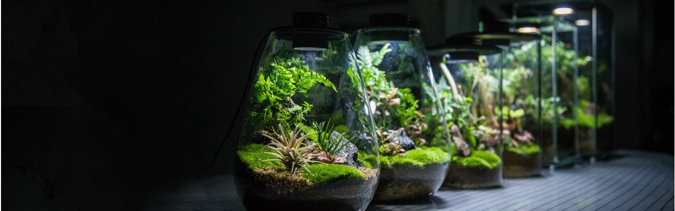 Bioloark Bio Bottles kaufen | Bioloark Shop