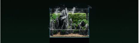 Paludarium